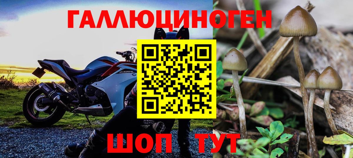 Псилоцибиновые грибы мицелий Можайск