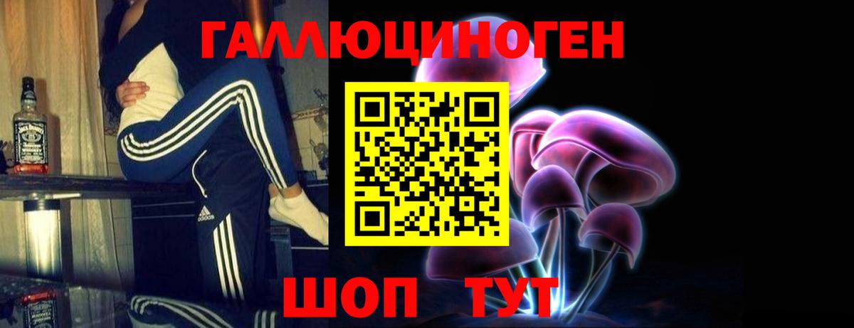 купить закладку  Псилоцибиновые грибы Cubensis  Можайск  Вход с VPN  Псилоцибиновые грибы мицелий 